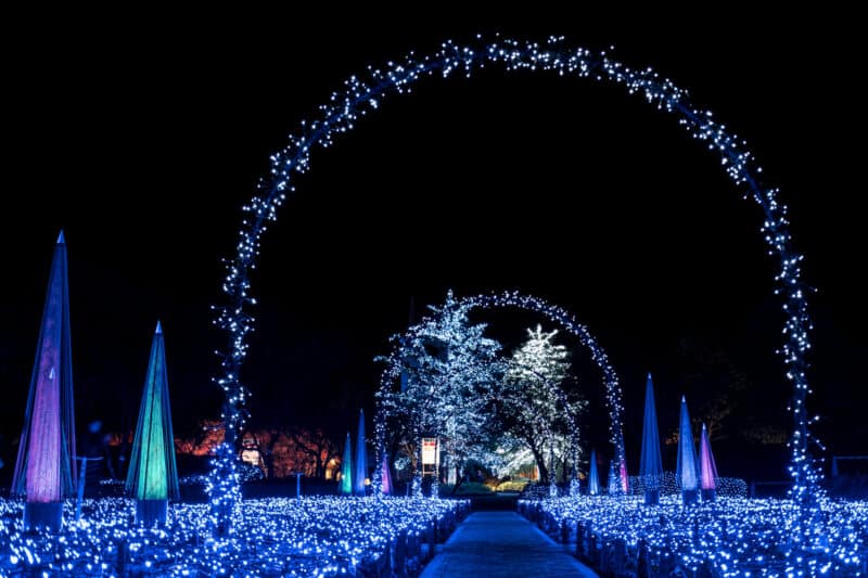 Illuminated,Archway,In,Winter,Festival,In,Japan